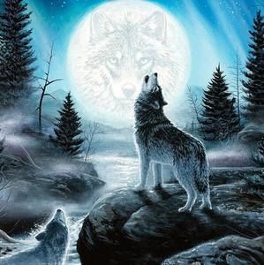 Meet your Posher, Douglas